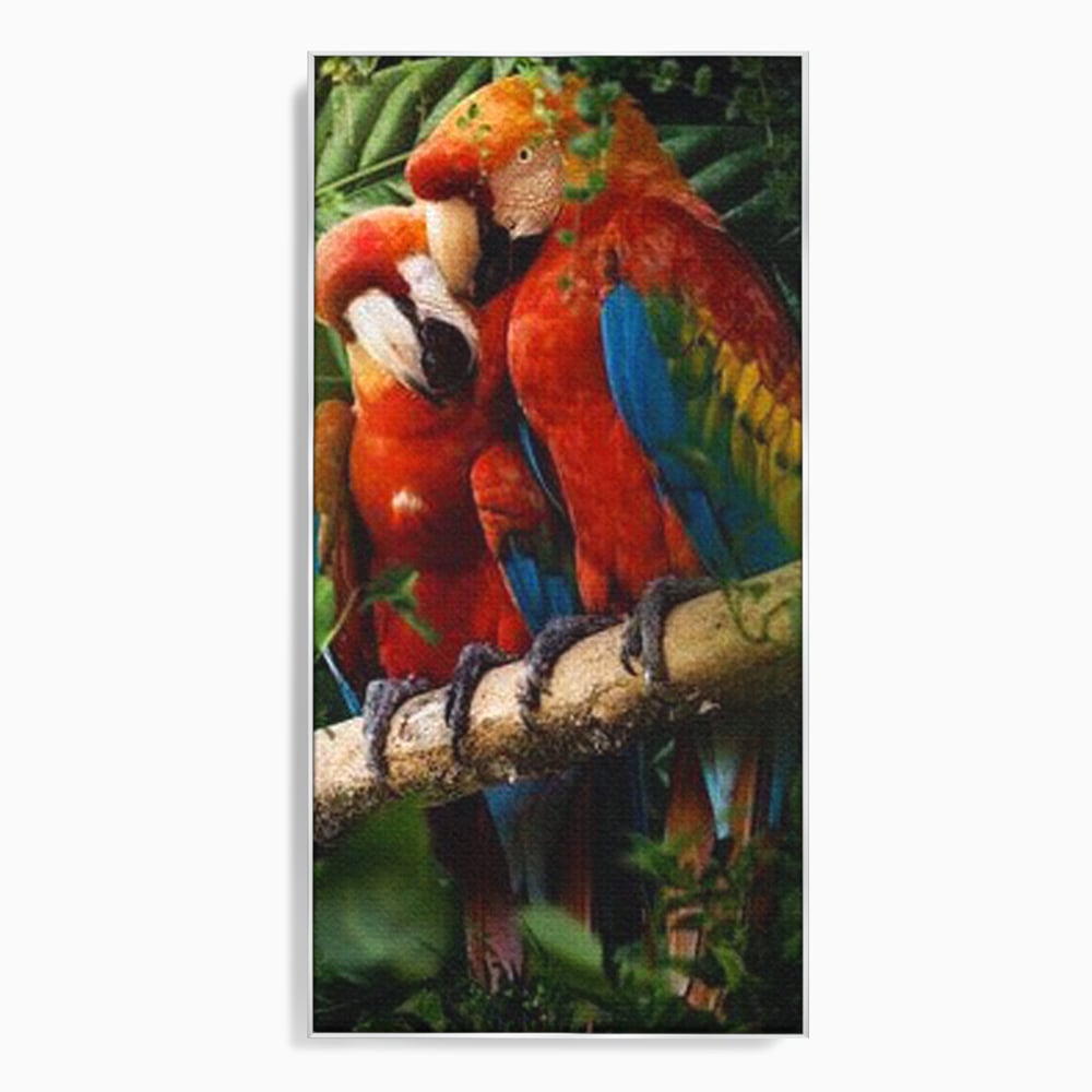 Tablou canvas cu doi papagali pe o creanga, in rama de aluminiu argintiu
